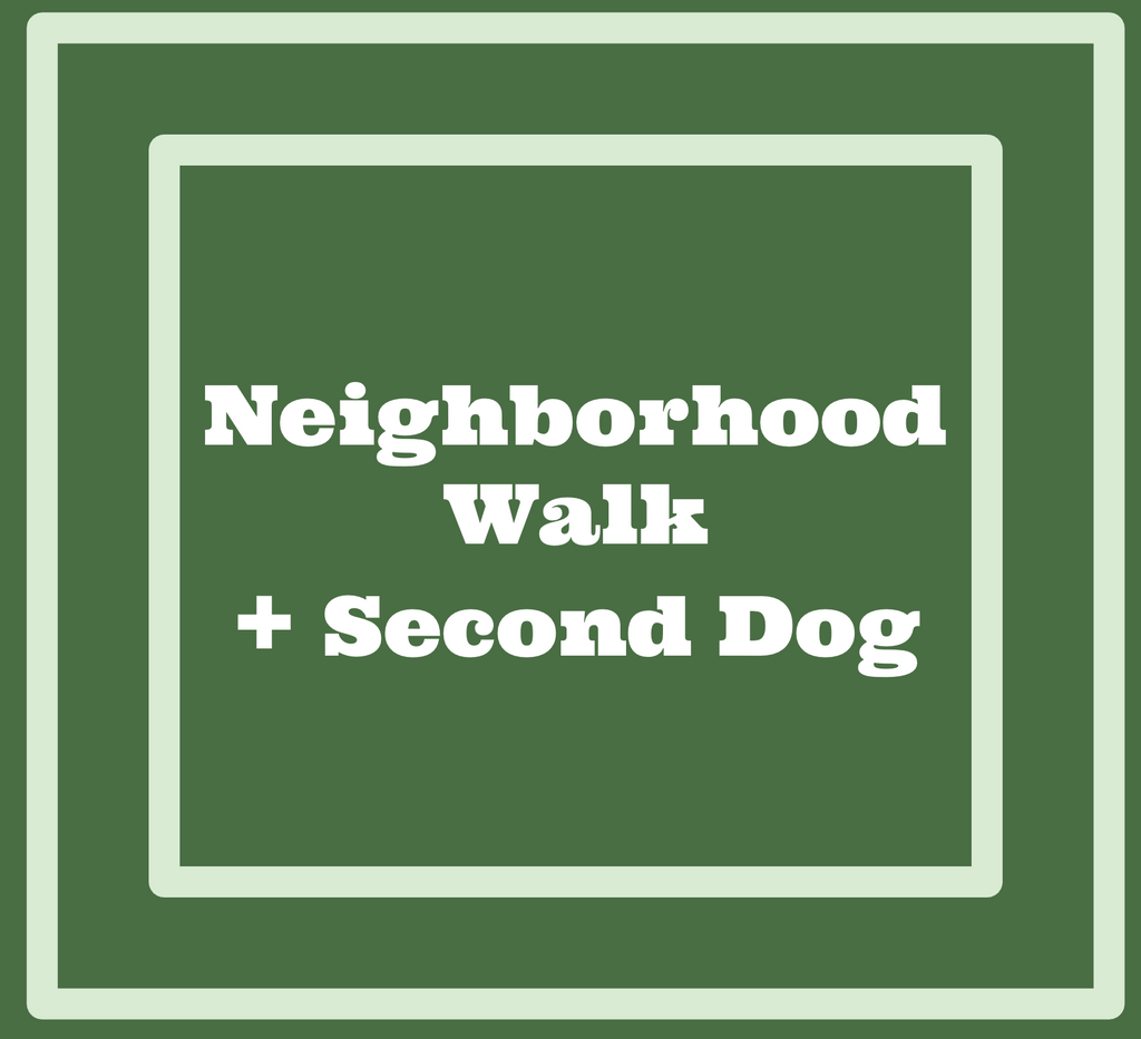 Neighborhood Walk + Second Dog